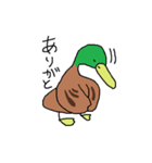 緑の鴨（個別スタンプ：7）