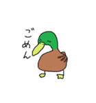 緑の鴨（個別スタンプ：8）