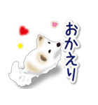 うちのもふもふ犬（個別スタンプ：8）