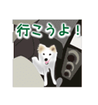 うちのもふもふ犬（個別スタンプ：15）