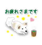 うちのもふもふ犬（個別スタンプ：25）