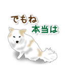 うちのもふもふ犬（個別スタンプ：26）