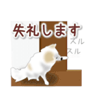 うちのもふもふ犬（個別スタンプ：33）