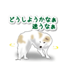 うちのもふもふ犬（個別スタンプ：35）