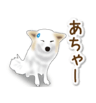 うちのもふもふ犬（個別スタンプ：38）