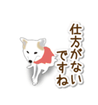 うちのもふもふ犬（個別スタンプ：39）