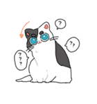 ぽんこつにゃんこ。（個別スタンプ：6）