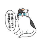 ぽんこつにゃんこ。（個別スタンプ：12）