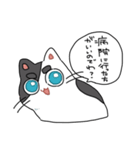 ぽんこつにゃんこ。（個別スタンプ：13）