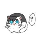 ぽんこつにゃんこ。（個別スタンプ：16）