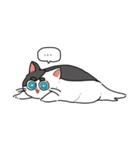 ぽんこつにゃんこ。（個別スタンプ：21）