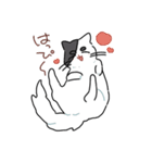 ぽんこつにゃんこ。（個別スタンプ：31）