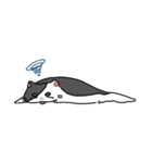ぽんこつにゃんこ。（個別スタンプ：35）