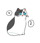 ぽんこつにゃんこ。（個別スタンプ：40）