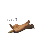 Living cat（個別スタンプ：1）