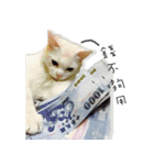 Living cat（個別スタンプ：21）