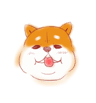 Fat Shiba revenger.（個別スタンプ：16）