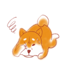 Fat Shiba revenger.（個別スタンプ：18）