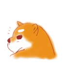 Fat Shiba revenger.（個別スタンプ：32）