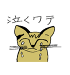 ワテコ（個別スタンプ：5）