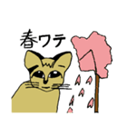 ワテコ（個別スタンプ：18）