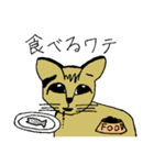 ワテコ（個別スタンプ：35）