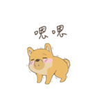 Adopted dog- Onigiri（個別スタンプ：6）
