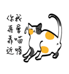 The Cat Tricky Says（個別スタンプ：5）