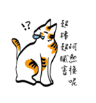 The Cat Tricky Says（個別スタンプ：11）