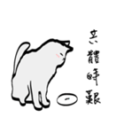 The Cat Tricky Says（個別スタンプ：33）