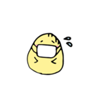 おひよさん。（個別スタンプ：21）