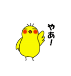 ぽちゃっとおかめどり（個別スタンプ：12）