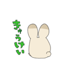 うさきち先輩（個別スタンプ：16）