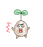 アボカド達（個別スタンプ：31）