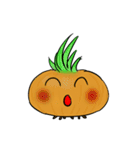 onions jung（個別スタンプ：1）