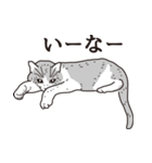 ねこつぼ 1（個別スタンプ：11）