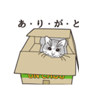 ねこつぼ 1（個別スタンプ：20）