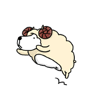 Crazy shppe（個別スタンプ：3）