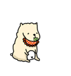 Crazy shppe（個別スタンプ：25）