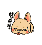 福岡犬（個別スタンプ：3）