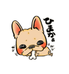 福岡犬（個別スタンプ：11）