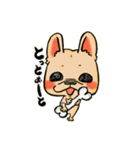 福岡犬（個別スタンプ：31）