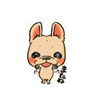 福岡犬（個別スタンプ：40）