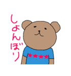 various shirt bears（個別スタンプ：27）