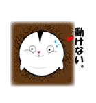 ハムタマ 見たらわかる可愛いやつやん（個別スタンプ：34）