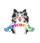 シェルティーフレンズ（個別スタンプ：1）
