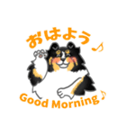 シェルティーフレンズ（個別スタンプ：2）