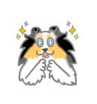 シェルティーフレンズ（個別スタンプ：5）