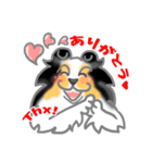シェルティーフレンズ（個別スタンプ：8）