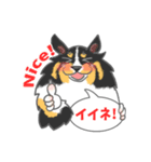 シェルティーフレンズ（個別スタンプ：9）